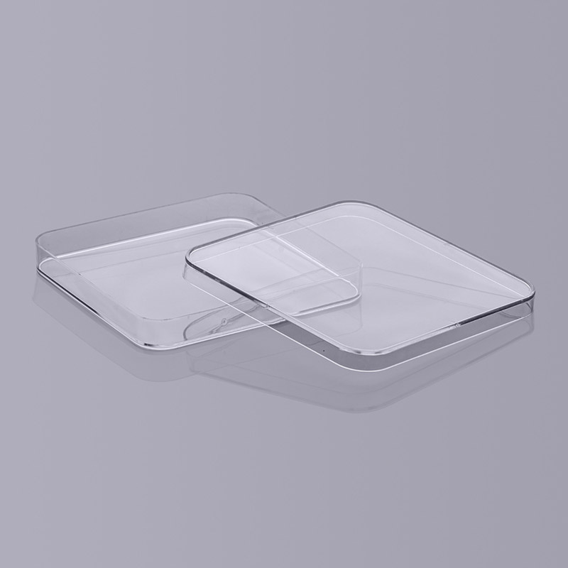 BS-130-SD 13*13 一次性塑料培养方皿