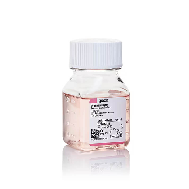 Opti-MEM I 减血清培养基，100ml