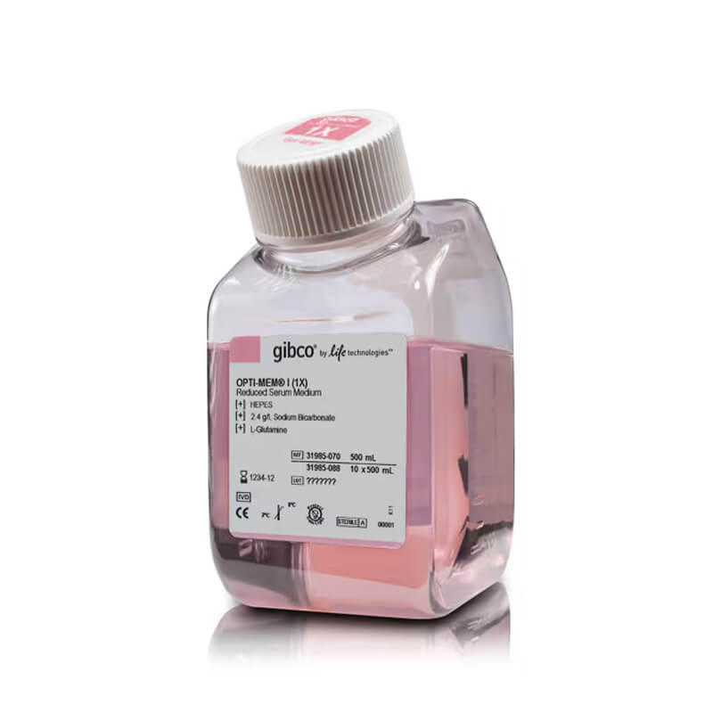 Opti-MEM I 减血清培养基，500ml*10瓶