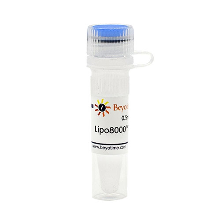 Lipo8000™转染试剂