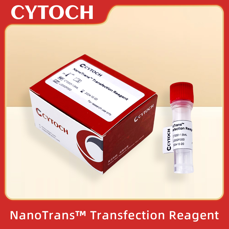 NanoTrans Transfection Reagent 纳米转染试剂