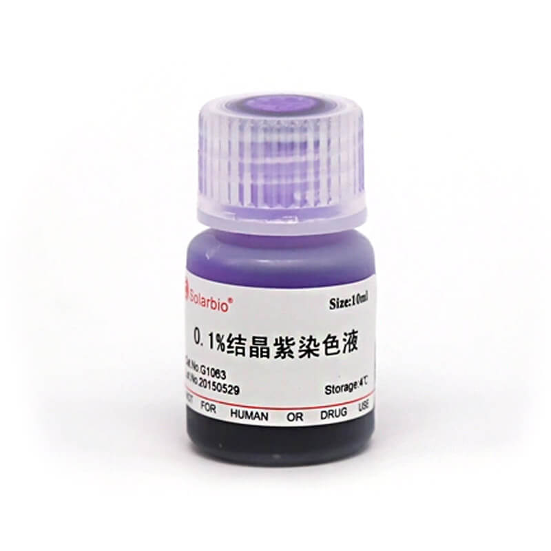 结晶紫染色液(0.1%)
