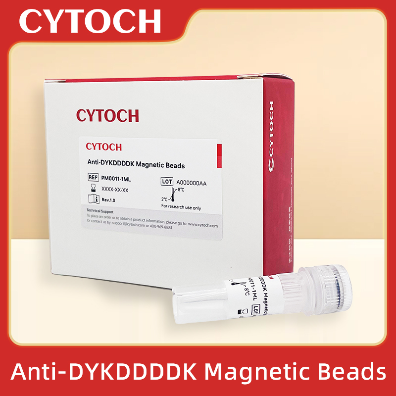 Anti-DYKDDDDK抗DYKDDDDK磁珠