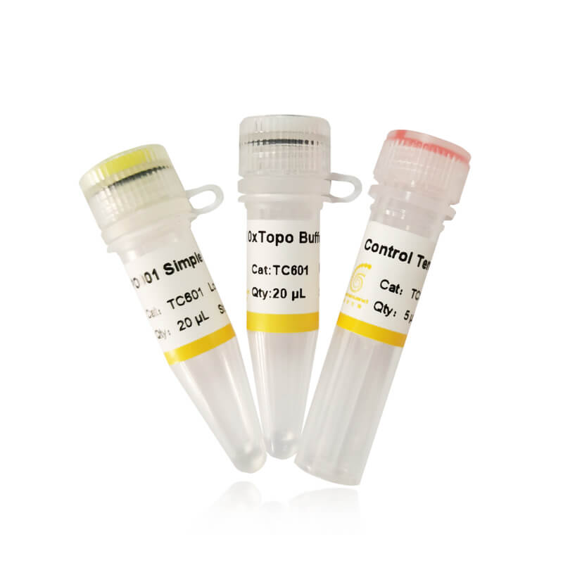 pTOPO001 Simple Cloning Kit