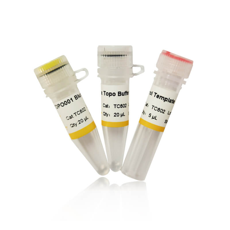 pTOPO001 Blunt Simple Cloning Kit